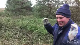 Сосдаем препятствия