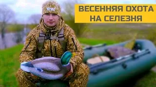 Весенняя охота на селезня 2022. С чучелами Mankoff