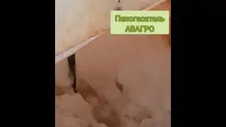 Пеногаситель от АВАГРО. Волшебство на глазах.