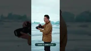 TAMRON Quick Tipp - Robben fotografieren auf Island