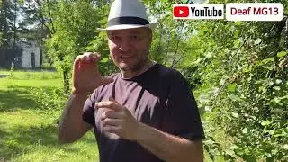 Где я учился…
