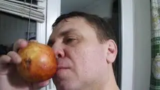 23 февраля или рваные носки?