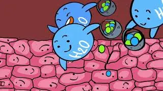 Рекламный ролик | FMC ADV | Правильное питание cartoon  мультипликация