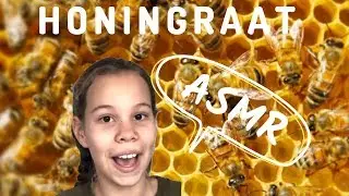 ASMR HONINGRAAT en ZEEWIER eten