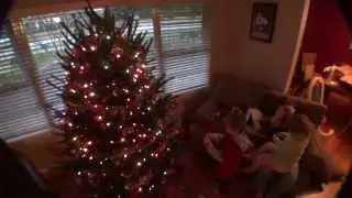 Christmas 2013: Decorating the Tree