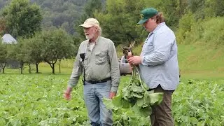 AgweekTV: New WI Restaurant Sources Ingredients from Local Farms