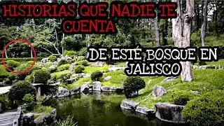 En este BOSQUE han sucedido HECHOS INEXPLICABLES. Bosque los COLOMOS. LO QUE NO SABÍAS. 