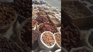 Qurtlar makoni😊