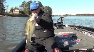 Russ Lane - Spro Fat Papa 70