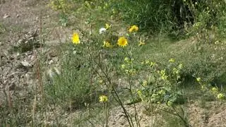 vacant lots nisku ab 10aug2014