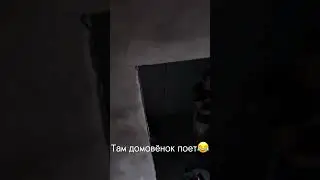 Домовенок злой 😡