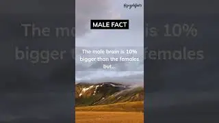Male fact #shorts #psychology #psychologyfacts #malefacts