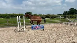 Sir Kannfly first time being loose jumped
