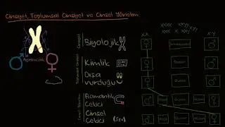 Toplumun Demografik Yapısı: Cinsiyet, Toplumsal Cinsiyet, Cinsel Yönelim (Sosyoloji)