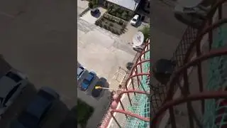 Соседские разборки в Сочи 😱😨
