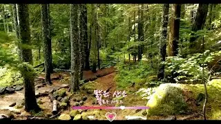 [Free][track list][806] 맑은 산소