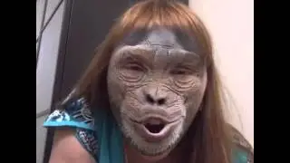 Веселая макака