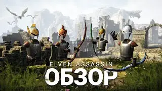 ОБЗОР ELVEN ASSASSIN