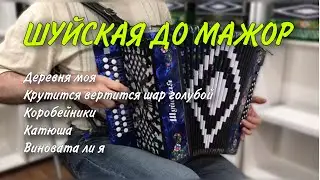 Великолепные мелодии от мастера. Игра на гармошке с потрясающим звучанием. Гармонь Шуйская До мажор
