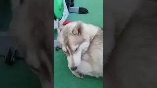 14 апреля 2019 г.