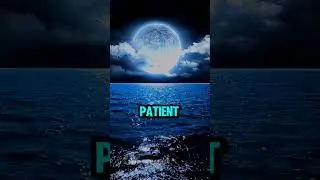 Motivation | Better Days#lifemotivation #motivation #support_me #motivationalvideo #quote #betterday