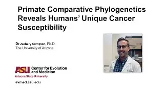 Dr Zachary Compton - Primate Comparative Phylogenetics Reveals Humans’ Unique Cancer Susceptibility