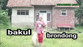 BAKUL BRONDONG || film ngapak 