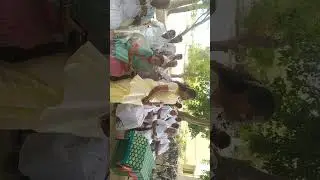விலையில்லா மிதிவண்டி 2022-23 சிவகிரி அம்மன்கோவில் பகுதி 1