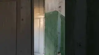 Как живут некоторые люди в Калининграде