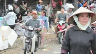 Trip to Hanoi -2011