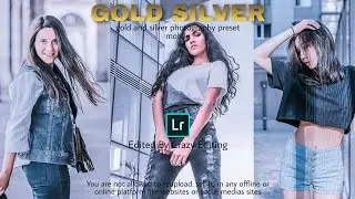 Gold Silver Moody Preset - Best Lightroom Mobile Preset - Urban Dark Preset - Gold Silver