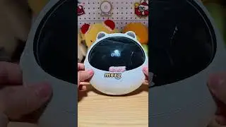 Troquei o ninho do meu pássaro por um de papel e a reação dele foi hilária! 🐦📦😂