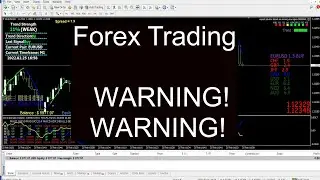 Forex Trading   WARNING! WARNING! Video 14