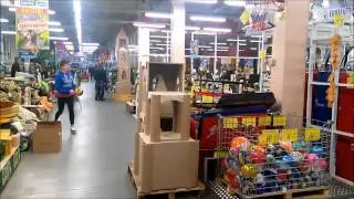 Crazy dunk must see !! lol