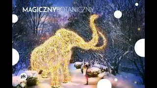 Magiczny Botaniczny – Park Iluminacji w Ogrodzie Botanicznym Warszawa