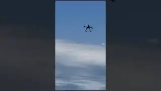 Drone Flight