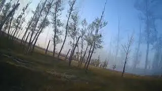 fpv полеты между деревьев @user-cz5ds5vb6s