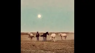 Psychedelic Rock Type Beat - 240 Horizon