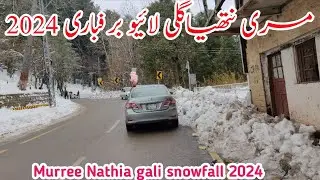 murree live Snowfall | Nathia gali snowfall | #murree weather | murree #snowfall update #2024