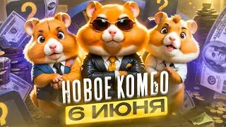 6 июня Хамстер Комбат 7 000 000 монет ! Комбо карты ! Combo Hamster Kombat Друзья