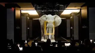 National Geographic's 'Fit for a Queen' Event