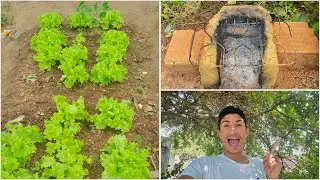 ATUALIZAÇÃO DA HORTA + REFORMA DO FOGÃO DE LENHA +  PLANTAMOS BRÓCOLIS