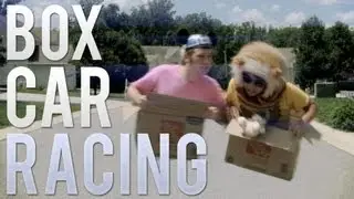 Box Car Racing
