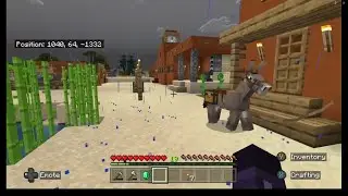 World Tour - Delivering A Donkey - Peacful Ride  - Minecraft Ep 1