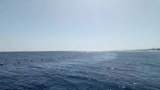 Египет Февраль 2017