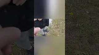 Мне позвонили , что потеряли золотое кольцо на грядке ! Я приехал и нашёл ...
