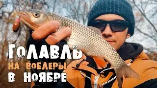 Ловля ГОЛАВЛЯ на воблеры. Рыбалка осенью 2021