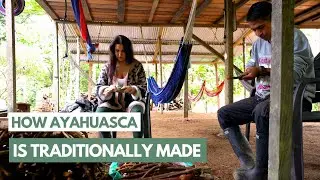 Behind the Scenes of Ayahuasca Production: A Journey into the Ancient Traditions of Colombia