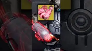 An Exotic Crossover in Destiny 2 We Could Have Got