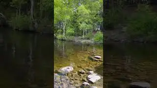 البحيرات في كندا😍🇨🇦 Lakes in Canada
